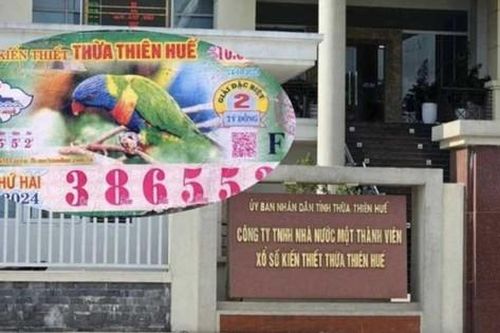 Công ty bị kiện trả thưởng vé số độc đắc có doanh thu như thế nào trong năm 2024?