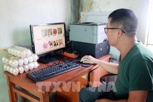 Xây dựng chợ số riêng cho hợp tác xã