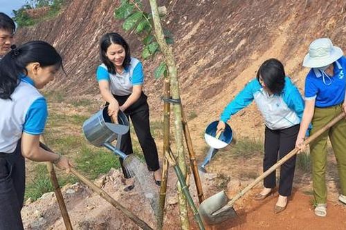 Trồng 300 cây hoa bằng lăng trong Lễ phát động Tết trồng cây