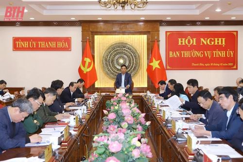 Cho ý kiến vào chương trình công tác năm 2025 của Ban Chấp hành Đảng bộ tỉnh và Ban Thường vụ Tỉnh ủy