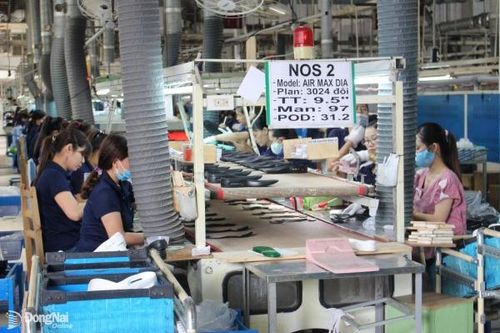 Thanh tra chỉ ra các tồn tại, thiếu sót, vi phạm về đất đai, bảo vệ môi trường của Công ty Chang Shin Việt Nam