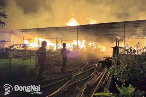 Đang khống chế đám cháy cơ sở gỗ tại huyện Vĩnh Cửu