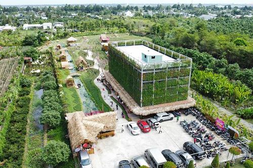 Độc đáo ngôi nhà hoa giấy 'siêu khủng' tại TP Sa Đéc
