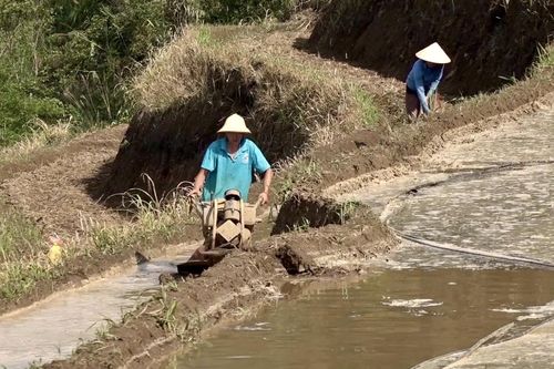 Giải pháp thực hiện hiệu quả các chương trình mục tiêu quốc gia