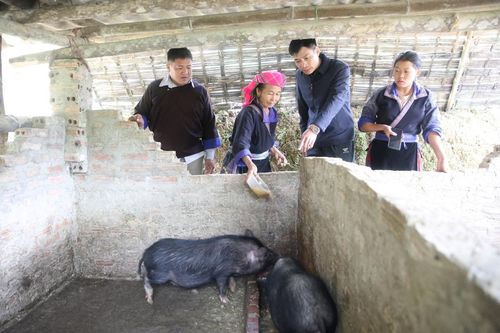 Khởi sắc Huổi Hằm