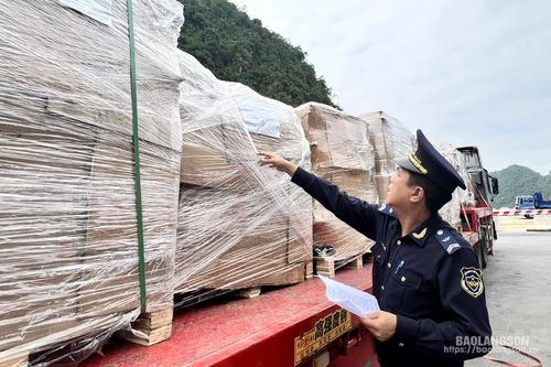 Xuất nhập khẩu: Khởi sắc đầu năm