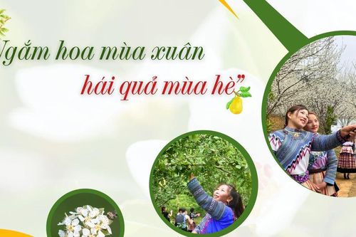 'Ngắm hoa mùa xuân - hái quả mùa hè'