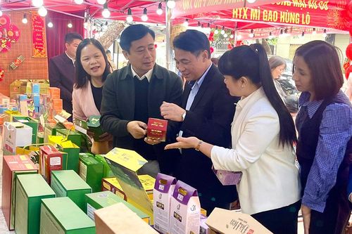 Quảng bá, giới thiệu, kết nối tiêu thụ sản phẩm Hợp tác xã dịp Tết Nguyên đán