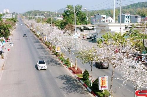 Hương sắc mùa xuân