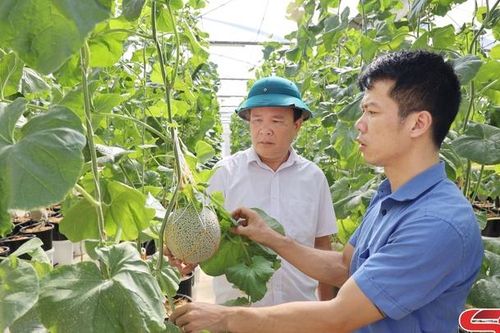 Ứng dụng khoa học, công nghệ vào sản xuất, đời sống