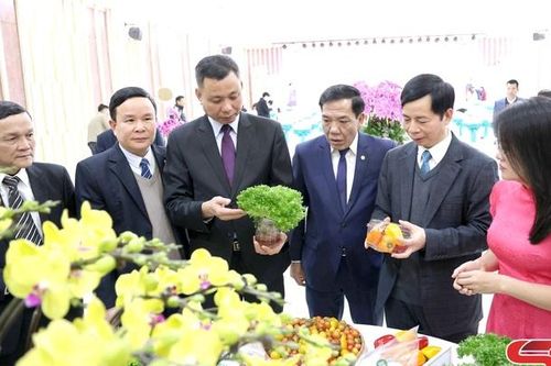 Đẩy mạnh hoạt động khoa học công nghệ và đổi mới sáng tạo