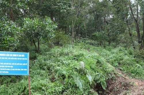 Bắc Giang: Tăng cường công tác quản lý Nhà nước về rừng và đất lâm nghiệp