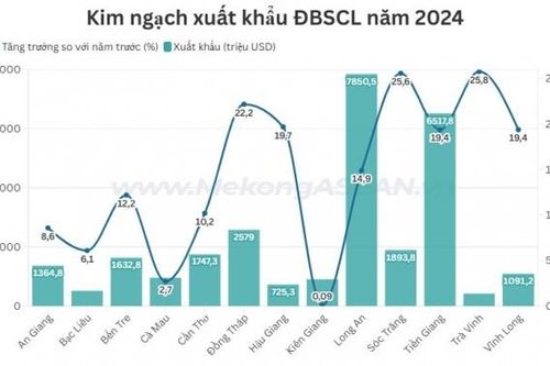 ĐBSCL xuất siêu hơn 14 tỷ USD năm 2024, Long An dẫn đầu về xuất khẩu