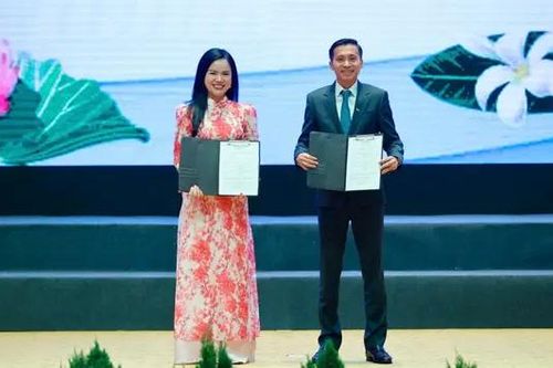 T&T Group đầu tư dự án điện gió tại Lào