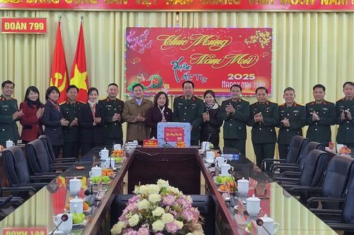 Phó Chủ tịch HĐND tỉnh Hà Nhật Lệ thăm, tặng quà Tết Đoàn Kinh tế - Quốc phòng 799