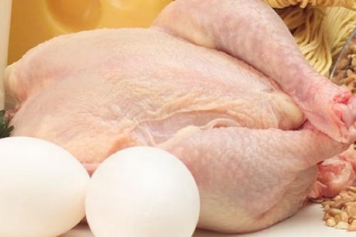 Gà và trứng: Loại nào có nhiều protein tốt hơn?