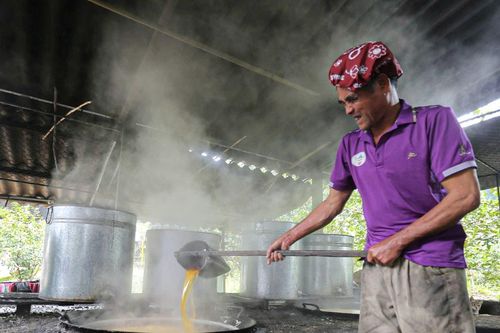 Thủ phủ mật mía ở Hà Tĩnh những ngày giáp Tết