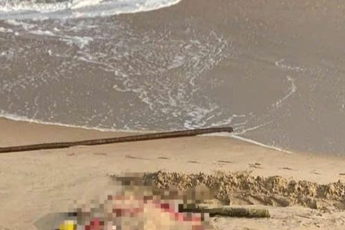 Thi thể ngư dân Quảng Trị mất tích khi đi đánh cá trôi dạt vào bờ biển ở Huế