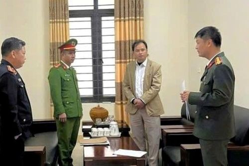 Khởi tố Trưởng Ban quản lý rừng phòng hộ