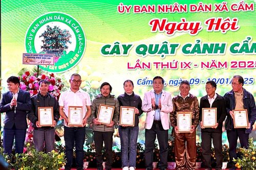 Hơn 250 hộ trồng hoa và cây cảnh tham gia Ngày hội cây quật cảnh Cẩm Hà