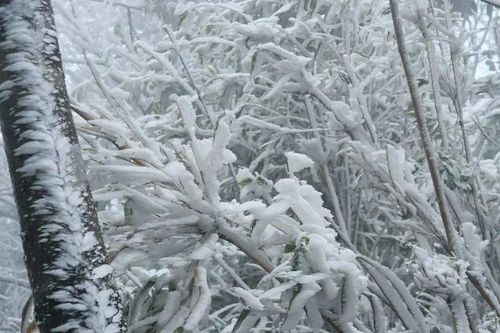 Băng giá xuất hiện ở huyện Mù Cang Chải (Yên Bái)