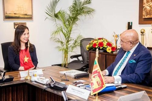 Đại sứ Việt Nam tại Sri Lanka thăm, làm việc với tập đoàn Hayleys