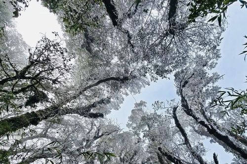 Kỳ vĩ cảnh băng tuyết phủ trắng đỉnh Lảo Thẩn