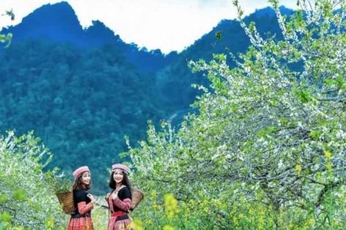 Hai xu hướng du lịch Tết