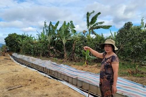 Người dân hiến 1.100m2 đất để làm đường giao thông