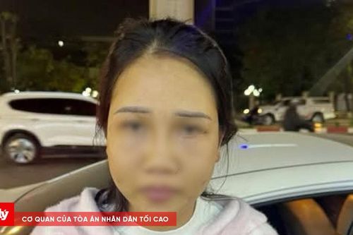 Lật tẩy thủ đoạn của 'mẹ bỉm sữa' 7 lần bị khởi tố vì lừa đảo