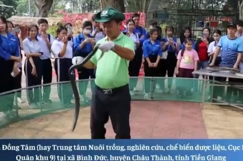 Trại rắn độc đáo ở Tiền Giang hấp dẫn du khách