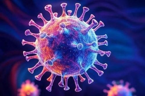 Đối tượng nào dễ nhiễm virus hMPV và nên phòng bệnh ra sao?