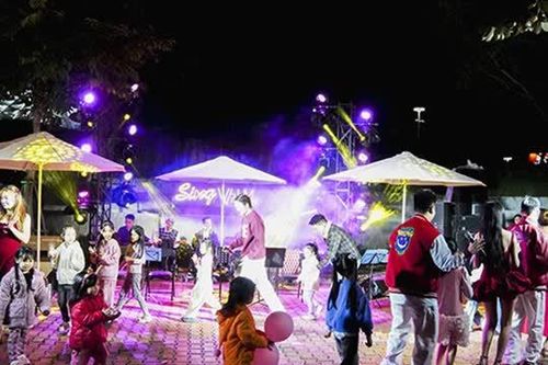 Đà Nẵng: Nhiều chương trình đón xuân đặc sắc dọc hai bờ sông Hàn