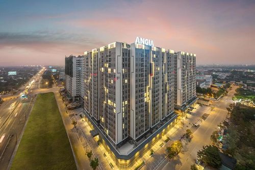 'Qua mặt' cổ đông, An Gia bị phạt hơn 300 triệu đồng