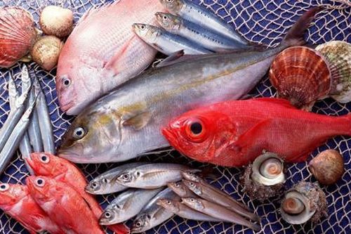 4 loại cá 'ngậm' đầy độc tố, rẻ đến mấy cũng đừng mua