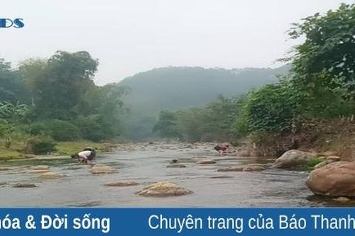 Rêu đá - 'thứ quà' bên dòng suối Xim