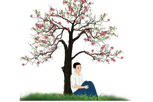 Cây pơ lang thắm đỏ