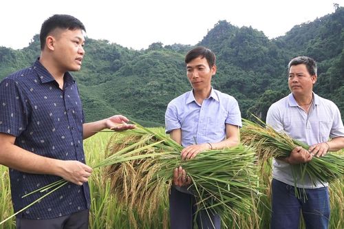 Sìn Hồ chuyển mình