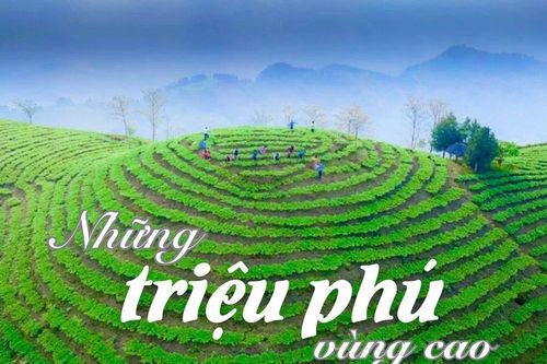 Những triệu phú vùng cao