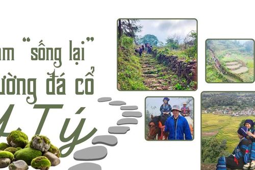 Làm 'sống lại' đường đá cổ Y Tý