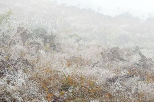Băng tuyết phủ trắng đỉnh Lảo Thẩn