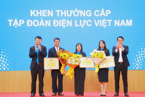 Công đoàn Công ty Điện lực Phú Thọ triển khai nhiệm vụ năm 2025