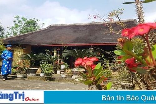 Chờ vùng cát... nở hoa