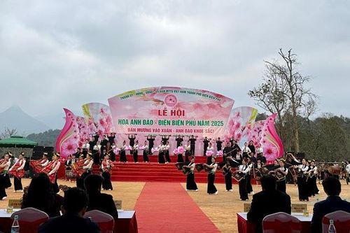 Khai mạc Lễ hội hoa Anh đào - Điện Biên Phủ năm 2025
