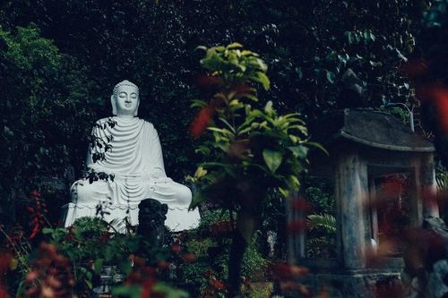 Không tranh với thế gian