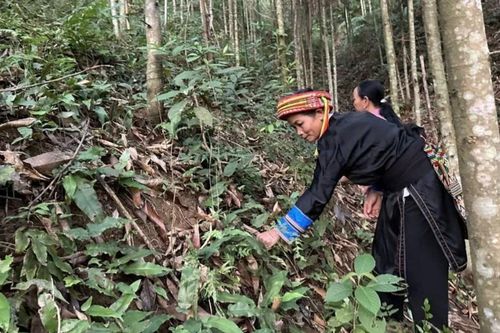 Hiệu quả từ tín dụng chính sách