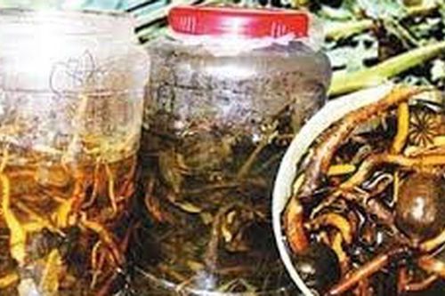 Uống rượu ngâm cây rừng, 1 người tử vong, 4 người nhập viện sức khỏe ra sao?