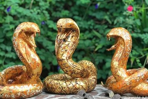 'Thạch ong xà' chào Tết có gì độc lạ mà giá đến 5 triệu đồng/con?