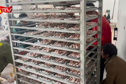 Cận Tết, 'lộ' nhiều cơ sở chế biến, kinh doanh thực phẩm 'bẩn'