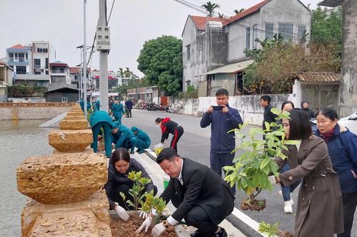 Huyện Đan Phượng thi đua giữ gìn cảnh quan sáng – xanh - sạch - đẹp